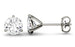 Classic 3 Prong 2 Carat Round Cut Moissanite Stud Earrings in White Gold
