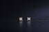 .50 Carat Princess Cut Diamond 4 Prong Stud Earrings in White Gold