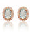 2.50 Carat Oval Cut Aquamarine and Diamond Halo Stud Earrings in Rose Gold