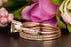 2 Carat Round Cut Ruby and Diamond Trio Bridal Ring Set in 9k Rose Gold Splendid Ring