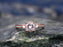 Three Stone 1.50 Carat Morganite and Diamond Engagement Ring in Rose Gold